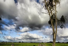 DB体育官方入口-多特蒙德巨星伤愈复出即破门，全场球迷沸腾，同时目前.